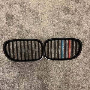 BMW grill